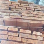 فروش چوب راش ترکیه و گرجستان