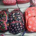 کیف های مدارس و کوله ومسافرتی
