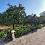 ۱۰۰۰ متر باغ ویلا واقع در سادات شهر رامسر