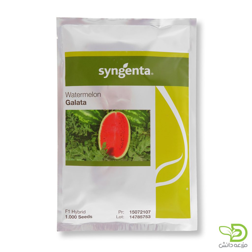 فروش بذر هندوانه گالاتا سینجنتا سوئیس