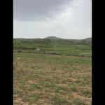 ۵۵۶۷ متر زمین با سند تک برگ فروش  دیلمان سیاهکل گیلان